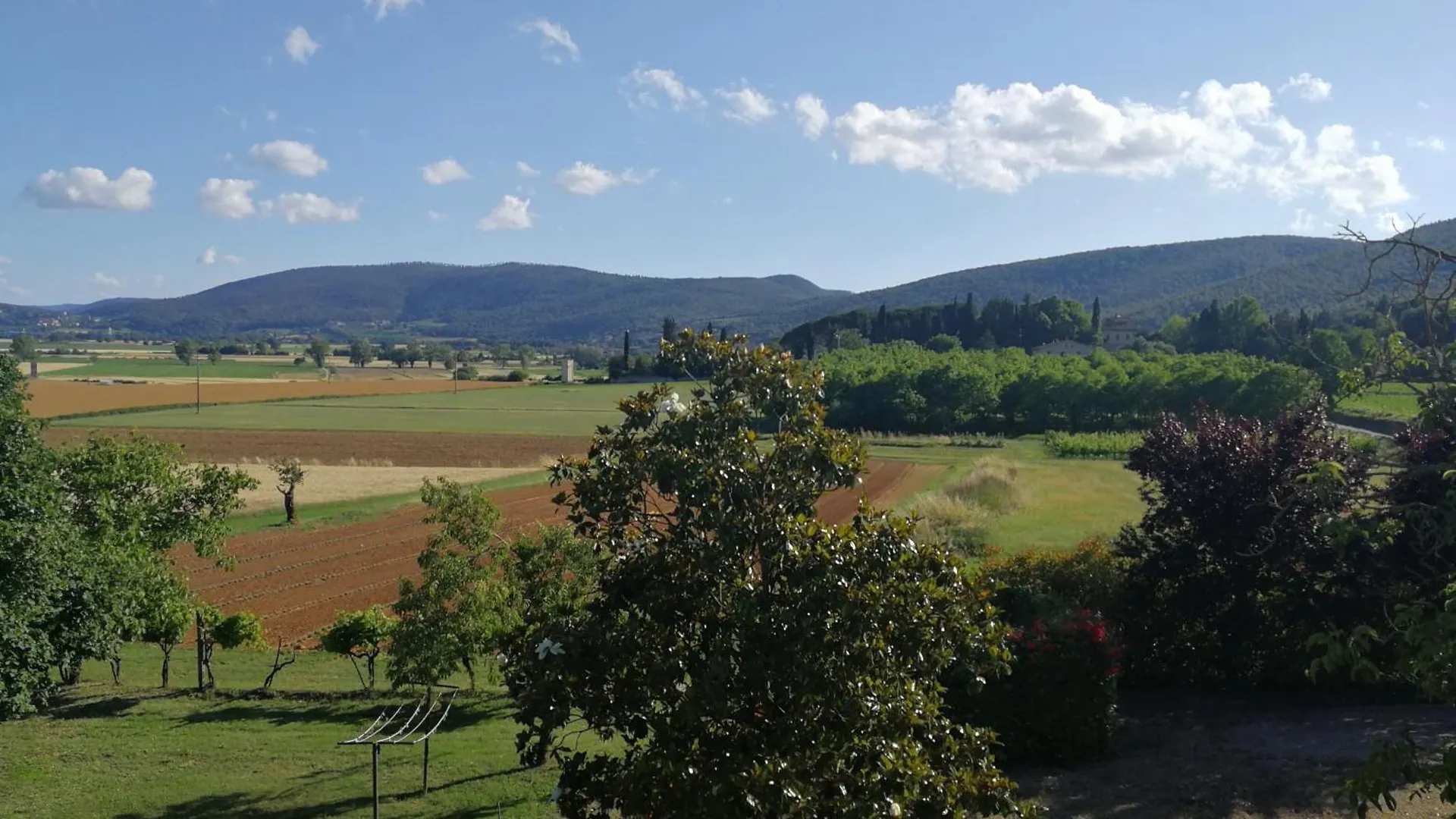 Claudia Vacanza Toscana - Appartamento Melograno -10 Min Da Siena Sovicille Apartment