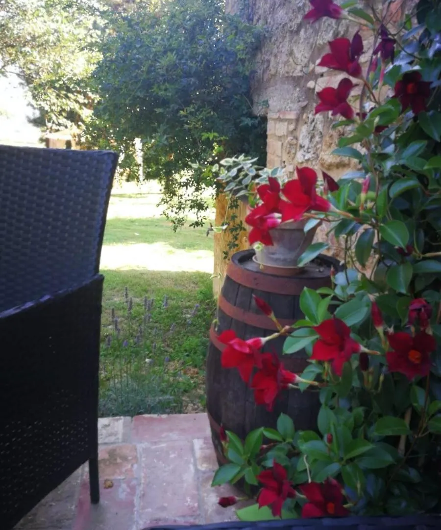 Apartment Claudia Vacanza Toscana - Appartamento Melograno -10 Min Da Siena Sovicille
