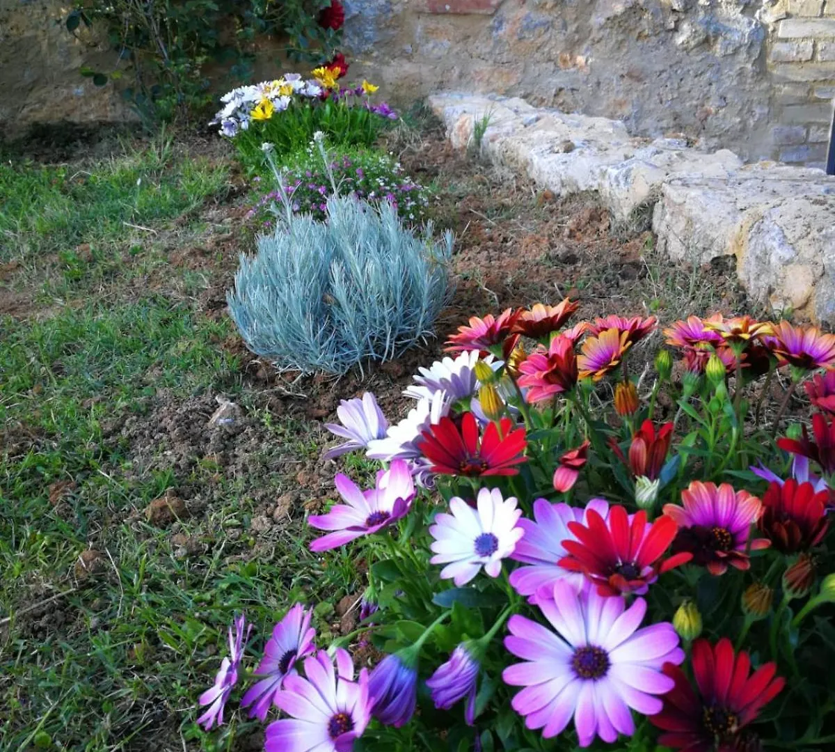 Apartment Claudia Vacanza Toscana - Appartamento Melograno -10 Min Da Siena Sovicille Italy