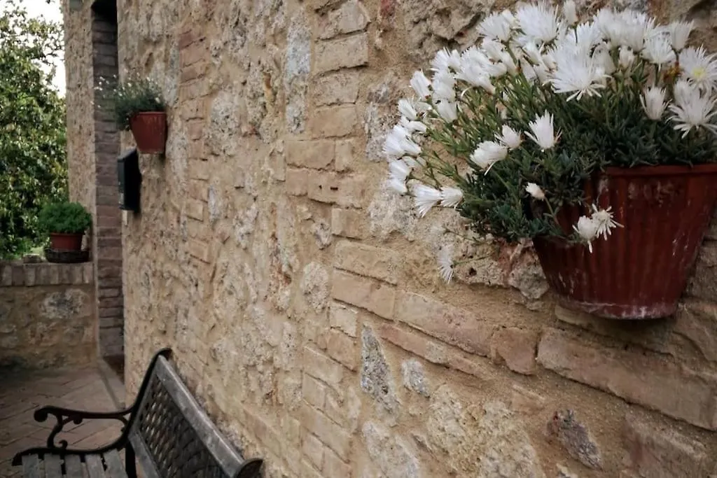 Claudia Vacanza Toscana - Appartamento Melograno -10 Min Da Siena Sovicille Italy