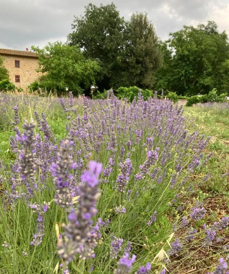 Claudia Vacanza Toscana - Appartamento Melograno -10 Min Da Siena Sovicille Apartment