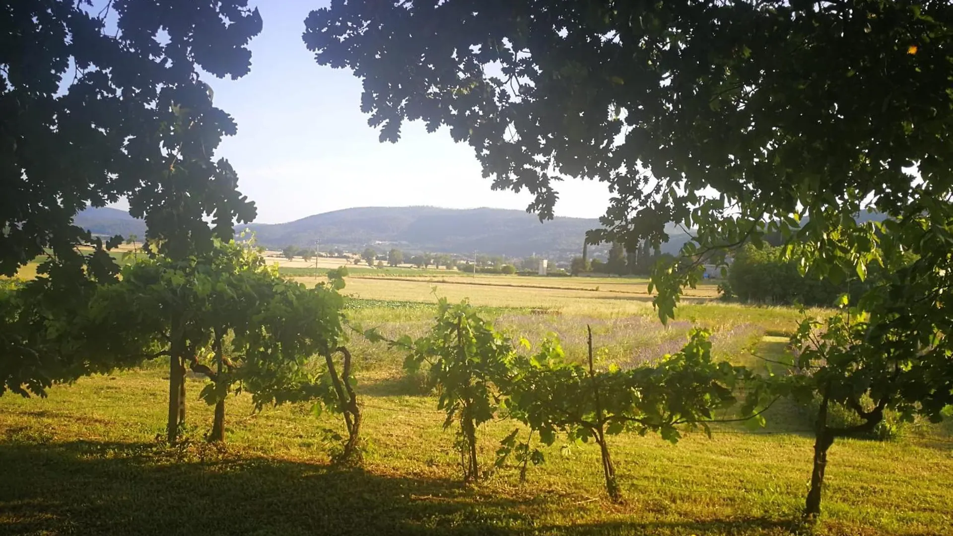Apartment Claudia Vacanza Toscana - Appartamento Melograno -10 Min Da Siena Sovicille